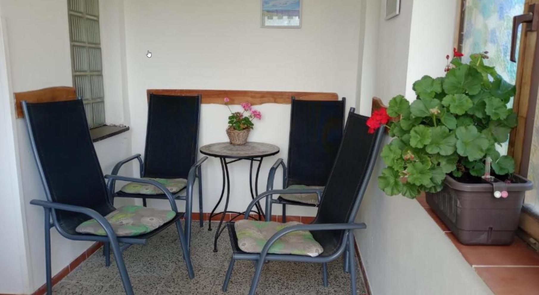 Ubytovani V Soukromi Libice Nad Cidlinou Dış mekan fotoğraf